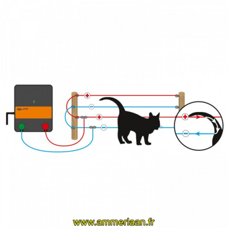 Kit pour chat - S6 Solar gamme Gallagher - Ref: 087433