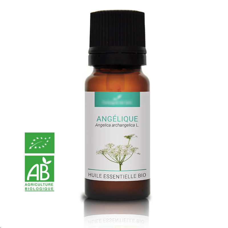 ANGÉLIQUE - Huile essentielle BIO - Contenance : 10mL - DDM: 05-2024