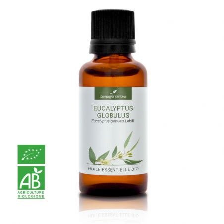 EUCALYPTUS GLOBULUS - Huile essentielle BIO - Contenance : 30mL - DDM : 11-2027