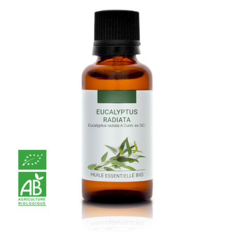 EUCALYPTUS RADIATA - Huile essentielle BIO - Contenance : 30mL - DDM 10-2024