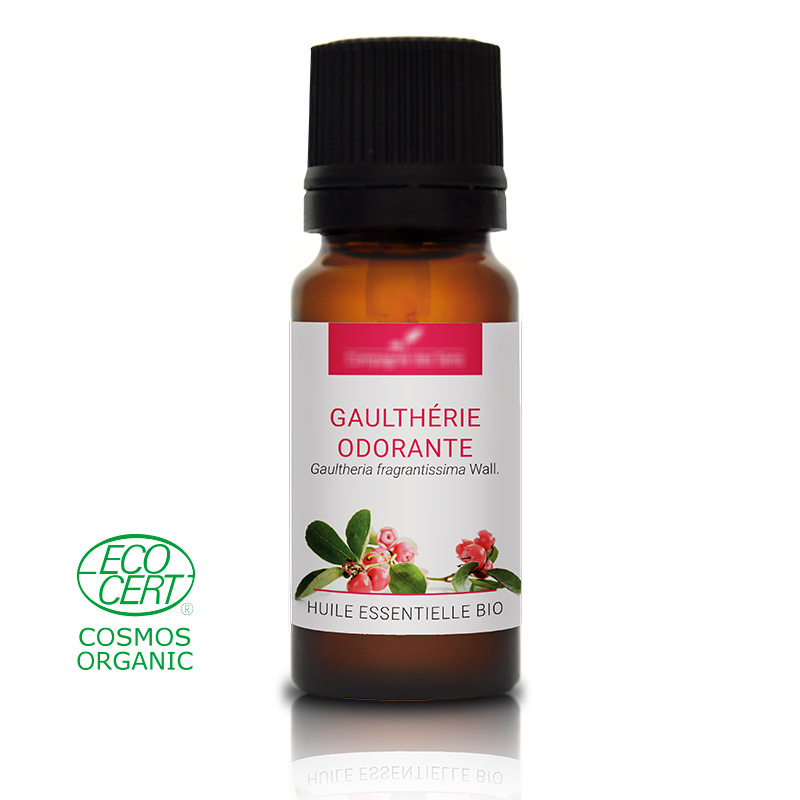 GAULTHÉRIE ODORANTE - Huile essentielle BIO - Contenance : 10mL - DLUO 05-2022