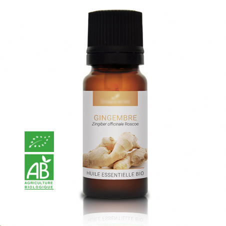 GINGEMBRE - Huile essentielle BIO - Contenance. 10 ml - DDM 01-2024