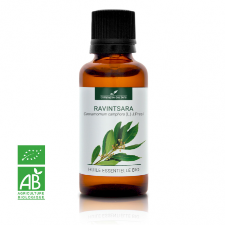 RAVINTSARA - Huile essentielle BIO - Contenance : 30mL - DDM : 05/2027