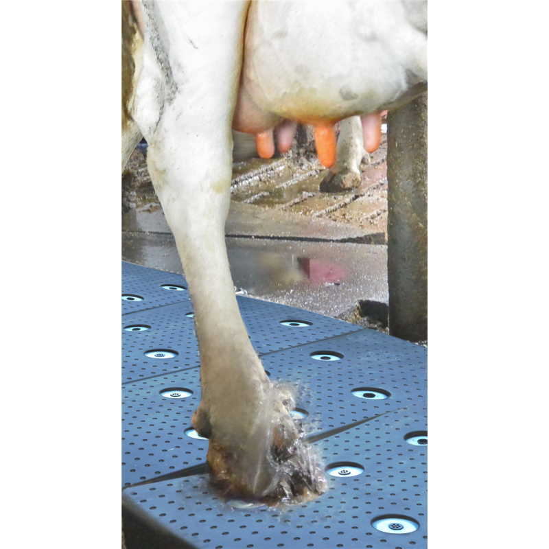 Hoof care spraymat