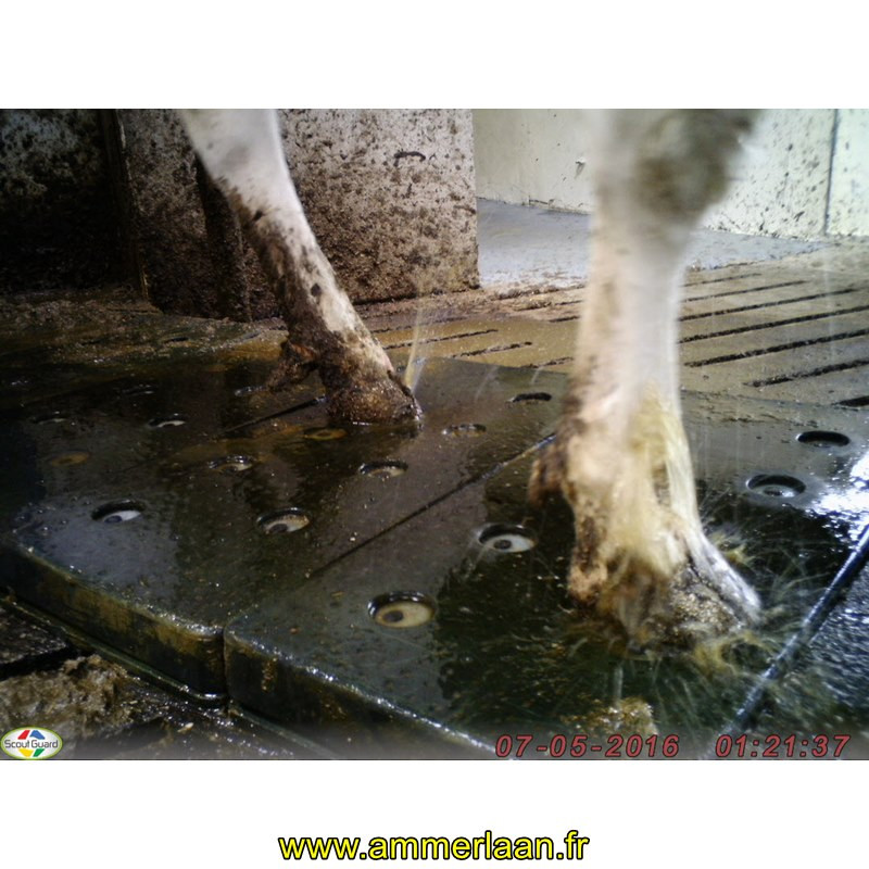 Hoof care spraymat