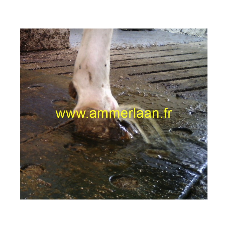 Hoof care spraymat